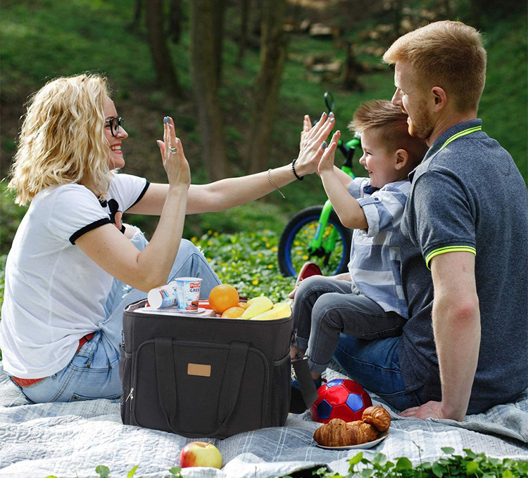 6 Layers Non Woven Cooler Bag