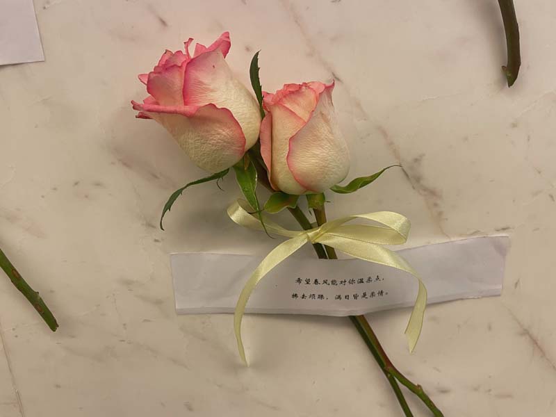 Rose