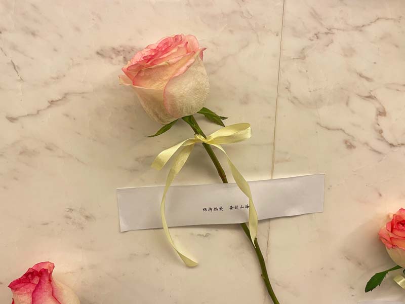 Rose