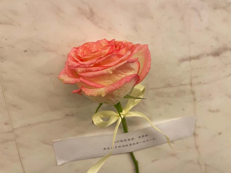 Rose